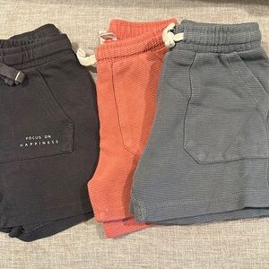 Zara Shorts Bundle
